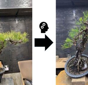 Atelier d'étude d'arbres